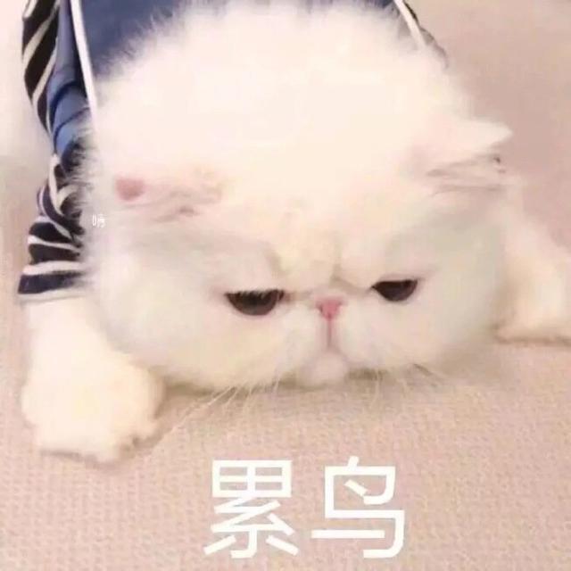 复杂到令人头秃的双十一，谁才是赢家？
